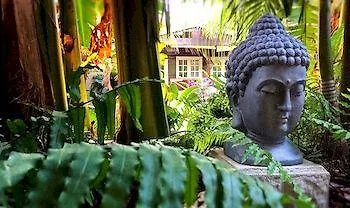 **** Holiday park Bamboo Bonaire By Boutique Bonaire Unique Resorts Kralendijk  Bonaire, Saint Eustatius and Saba