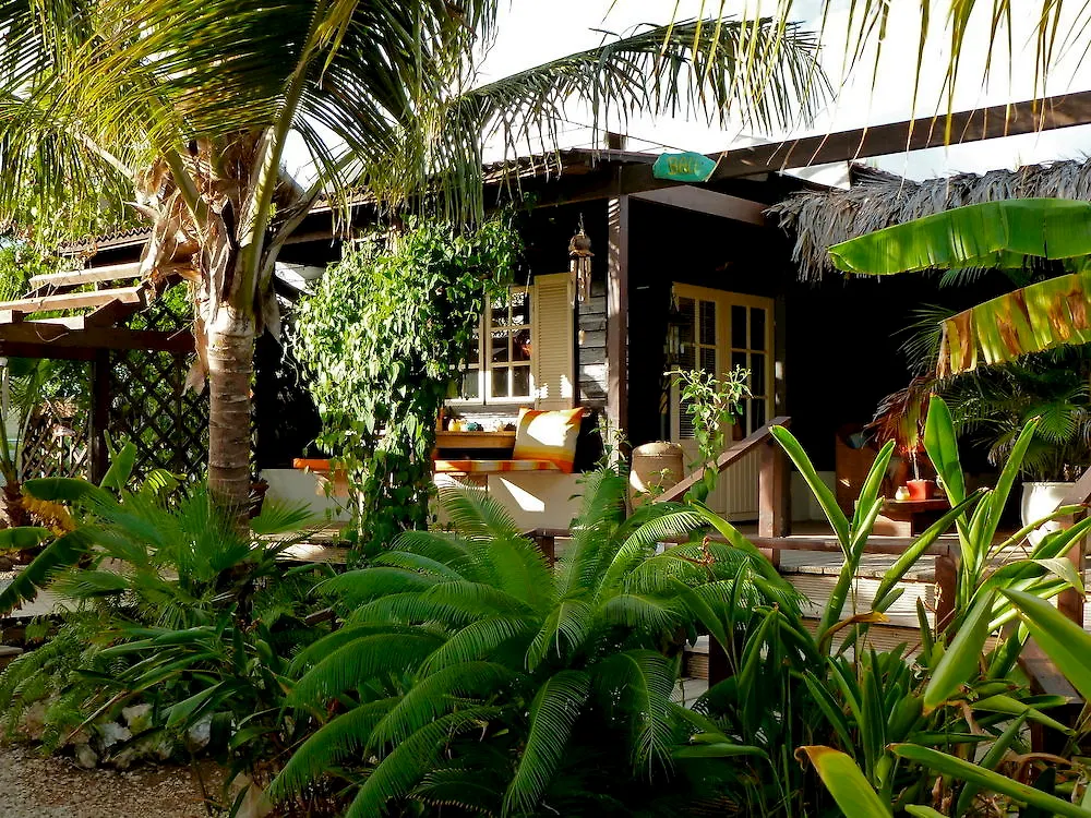 Bamboo Bonaire By Boutique Bonaire Unique Resorts Kralendijk 4*,  Bonaire, Saint Eustatius y Saba